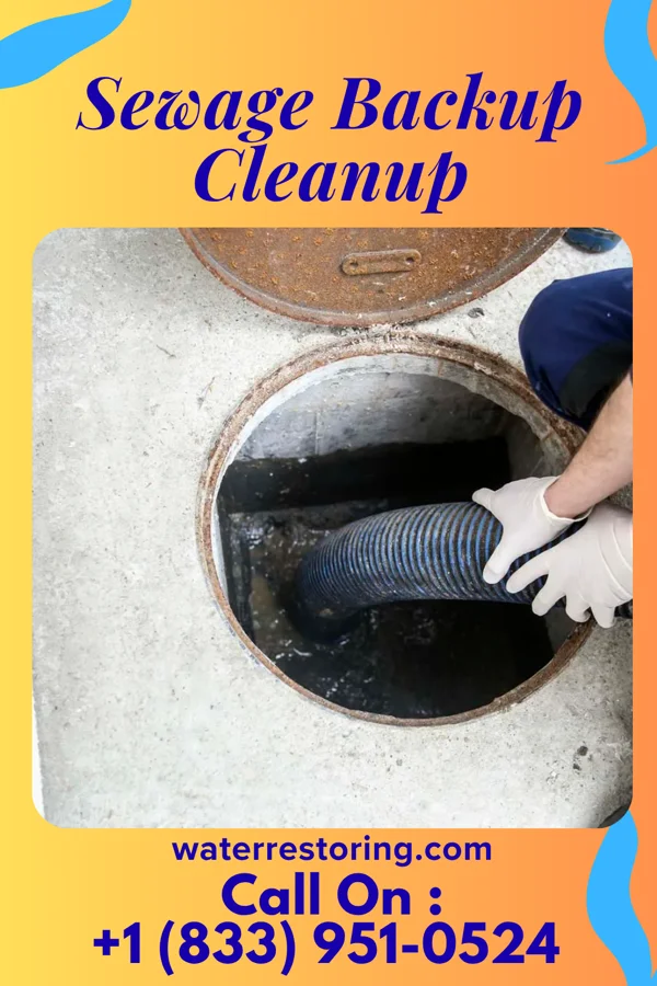 Sewage Backup Cleanup in Hoxie, AR