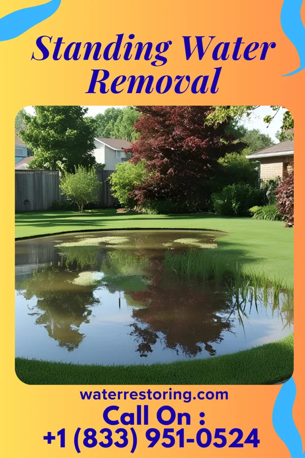 Standing Water Removal in Hoxie, AR